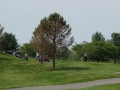 Golf Tournament 239